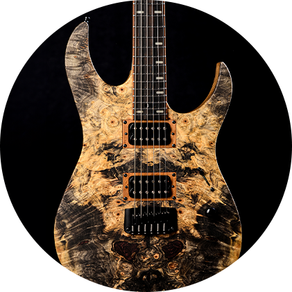 גיטרות בהתאמה אישית